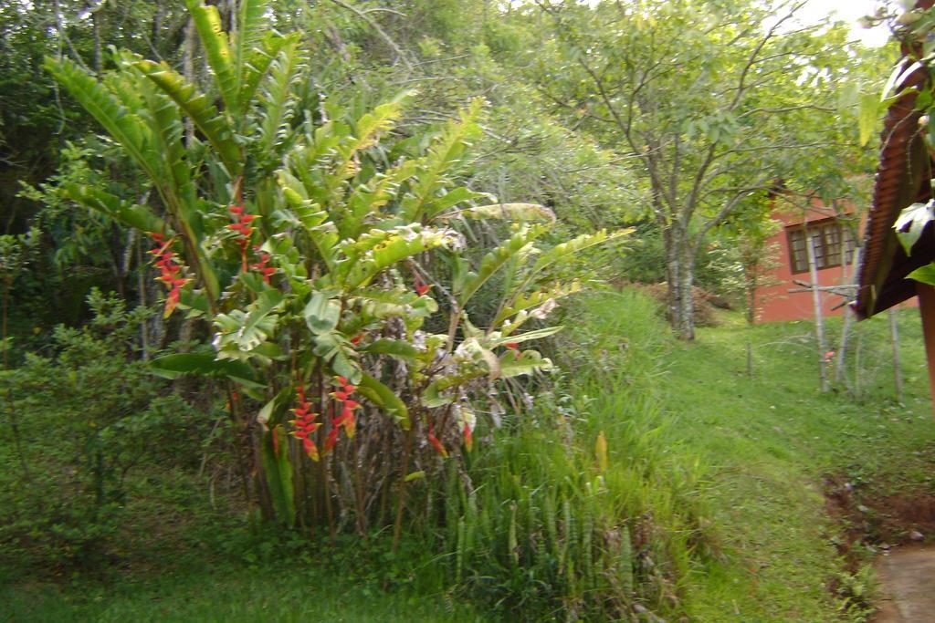 Pousada Passaredo Montanha Ibiúna Exteriör bild
